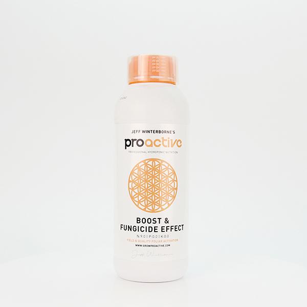 Proactive Boost & Fungicide Effect 1L